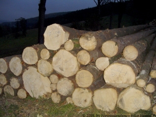 Holzpolter