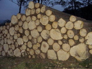 Holzpolter