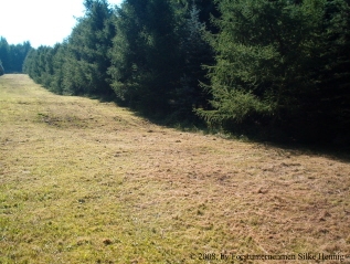 Rasenmaht