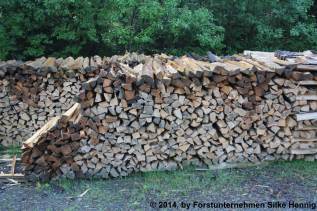 gespaltenes Holz
